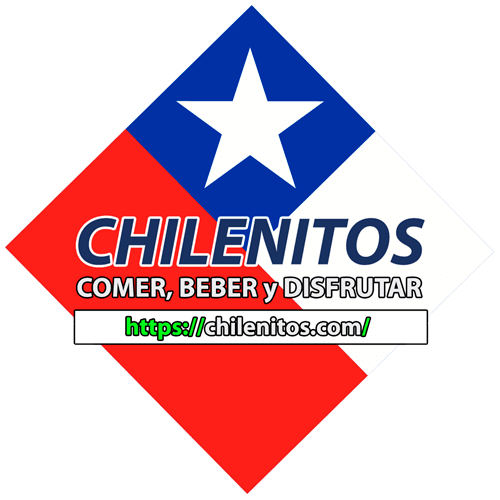 sillas-de-auto.ves.cl - chilenos - chilenitos